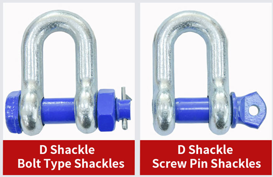 Different Types of Shackles: Anchor vs. Chain and Screw Pin vs. Bolt Type